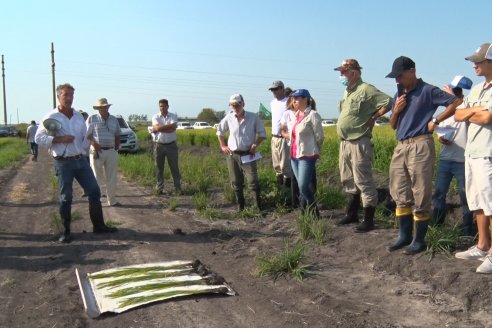 Dia a Campo de Arroz - Fundación PROARROZ - 11 de Febrero 2022