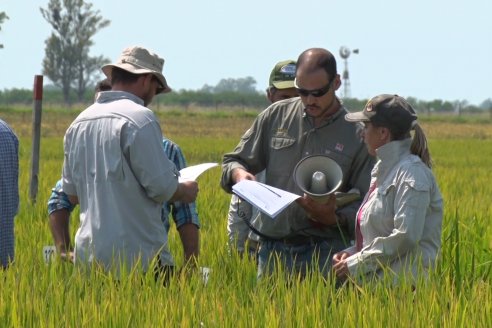 Dia a Campo de Arroz - Fundación PROARROZ - 11 de Febrero 2022