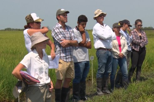 Dia a Campo de Arroz - Fundación PROARROZ - 11 de Febrero 2022