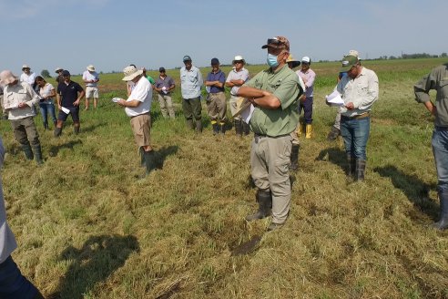 Dia a Campo de Arroz - Fundación PROARROZ - 11 de Febrero 2022