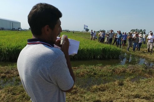 Dia a Campo de Arroz - Fundación PROARROZ - 11 de Febrero 2022