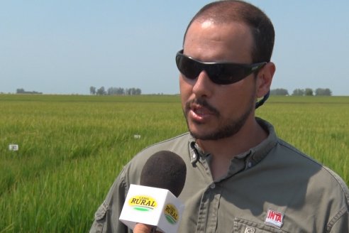 Dia a Campo de Arroz - Fundación PROARROZ - 11 de Febrero 2022