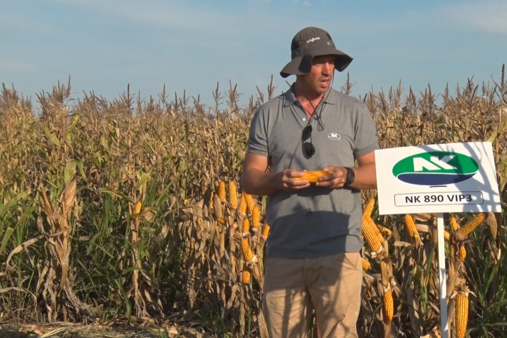 El manejo acertado, combinado con los materiales, permitió sortear la campaña.