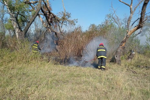 Con éxito, brigadistas combatieron incendios del Delta en Victoria