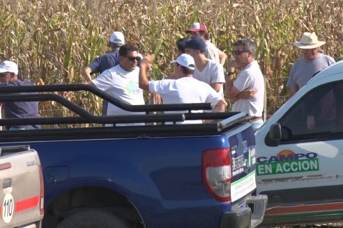 Recorrida Ensayos de Maiz - INSER y NK Semillas - Viale, Entre Ríos