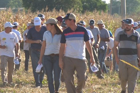 Recorrida Ensayos de Maiz - INSER y NK Semillas - Viale, Entre Ríos