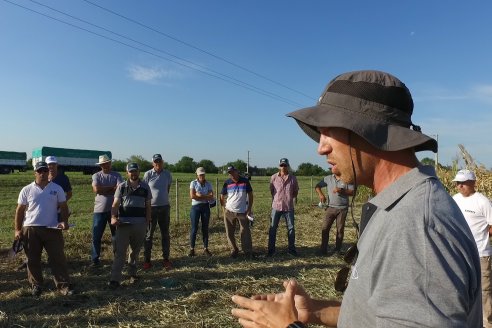 Recorrida Ensayos de Maiz - INSER y NK Semillas - Viale, Entre Ríos