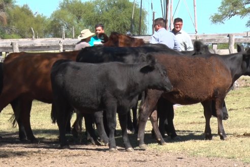 Visita a Establecimiento Don Coco en Federal con la firma Ferreyra Spessot Consignataria