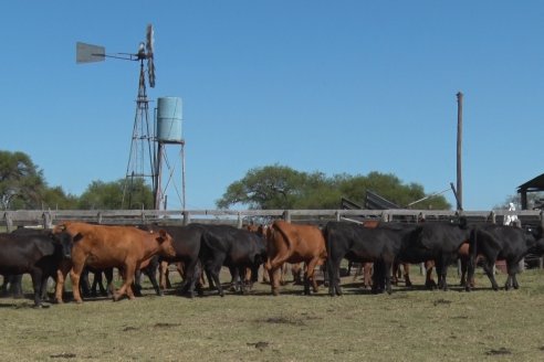 Visita a Establecimiento Don Coco en Federal con la firma Ferreyra Spessot Consignataria