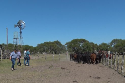 Visita a Establecimiento Don Coco en Federal con la firma Ferreyra Spessot Consignataria