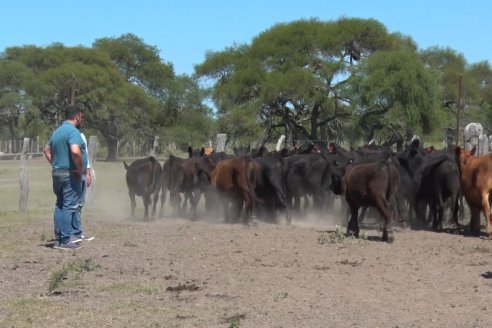 Visita a Establecimiento Don Coco en Federal con la firma Ferreyra Spessot Consignataria