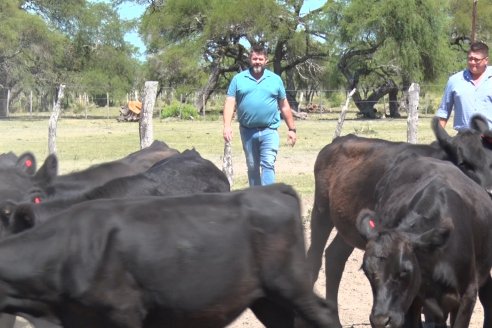 Visita a Establecimiento Don Coco en Federal con la firma Ferreyra Spessot Consignataria