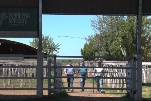 Visita a Establecimiento Don Coco en Federal con la firma Ferreyra Spessot Consignataria