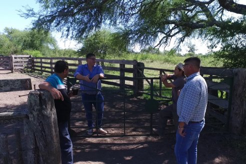 Visita a Establecimiento Don Coco en Federal con la firma Ferreyra Spessot Consignataria