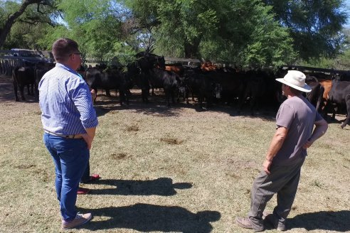 Visita a Establecimiento Don Coco en Federal con la firma Ferreyra Spessot Consignataria