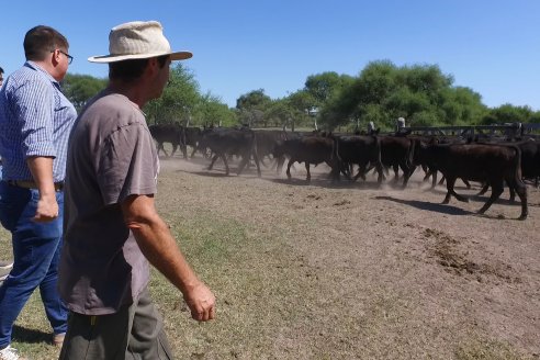 Visita a Establecimiento Don Coco en Federal con la firma Ferreyra Spessot Consignataria