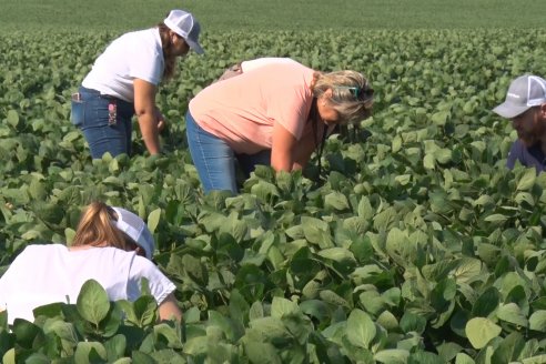 En 2025, la soja se consolidó como el único refugio efectivo de valor, superando cómoda a la inflación