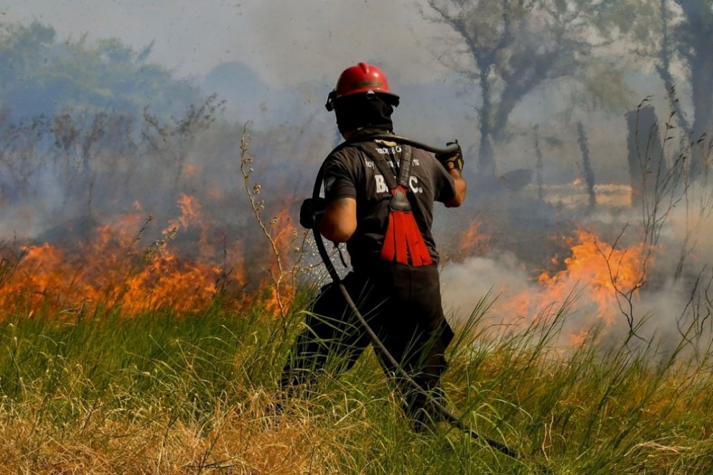 Las escenas de la tragedia en Corrientes dan cuenta del daño ambiental.