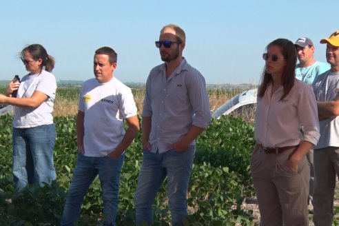 Recorrida a Campo: Manejo de enfermedades en soja y maíz en Aldea Maria Luisa - Raices del Este SRL y Syngenta