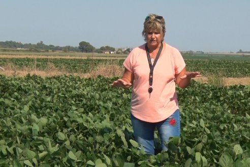 Recorrida a Campo: Manejo de enfermedades en soja y maíz en Aldea Maria Luisa - Raices del Este SRL y Syngenta