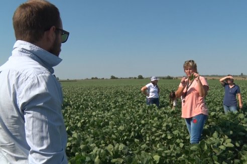 Recorrida a Campo: Manejo de enfermedades en soja y maíz en Aldea Maria Luisa - Raices del Este SRL y Syngenta