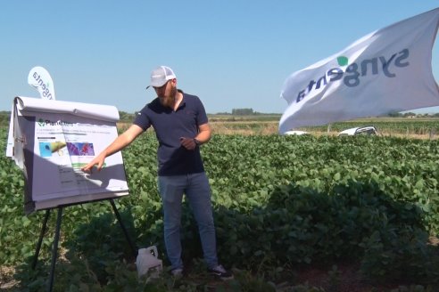 Recorrida a Campo: Manejo de enfermedades en soja y maíz en Aldea Maria Luisa - Raices del Este SRL y Syngenta