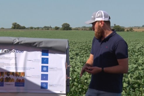 Recorrida a Campo: Manejo de enfermedades en soja y maíz en Aldea Maria Luisa - Raices del Este SRL y Syngenta