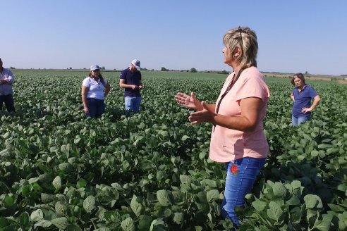 Recorrida a Campo: Manejo de enfermedades en soja y maíz en Aldea Maria Luisa - Raices del Este SRL y Syngenta