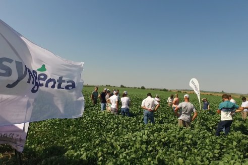 Recorrida a Campo: Manejo de enfermedades en soja y maíz en Aldea Maria Luisa - Raices del Este SRL y Syngenta