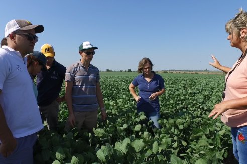 Recorrida a Campo: Manejo de enfermedades en soja y maíz en Aldea Maria Luisa - Raices del Este SRL y Syngenta