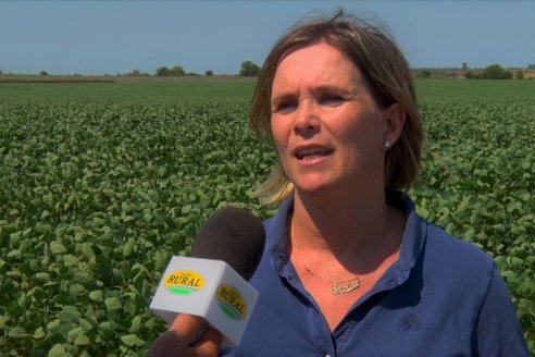 Recorrida a Campo: Manejo de enfermedades en soja y maíz en Aldea Maria Luisa - Raices del Este SRL y Syngenta