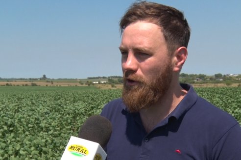 Recorrida a Campo: Manejo de enfermedades en soja y maíz en Aldea Maria Luisa - Raices del Este SRL y Syngenta