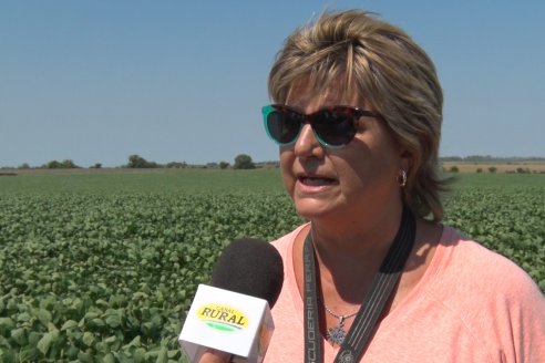 Recorrida a Campo: Manejo de enfermedades en soja y maíz en Aldea Maria Luisa - Raices del Este SRL y Syngenta