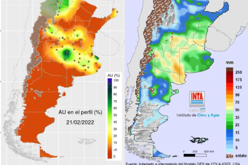 Hay perspectivas de precipitaciones importantes en regiones productivas