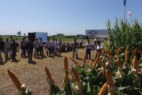 Un fascinante recorrido por el futuro del agro argentino