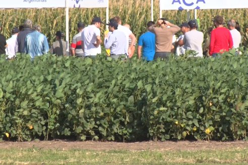 A Campo Abierto 2022 - Un fascinante recorrido por el futuro del agro argentino