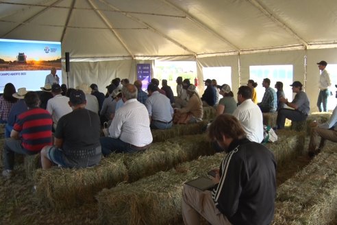 A Campo Abierto 2022 - Un fascinante recorrido por el futuro del agro argentino