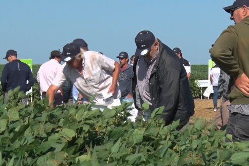 A Campo Abierto 2022 - Un fascinante recorrido por el futuro del agro argentino