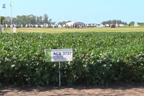 A Campo Abierto 2022 - Un fascinante recorrido por el futuro del agro argentino