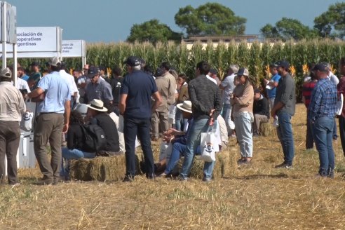 A Campo Abierto 2022 - Un fascinante recorrido por el futuro del agro argentino