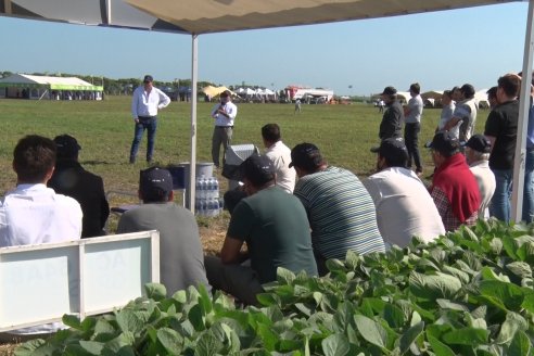 A Campo Abierto 2022 - Un fascinante recorrido por el futuro del agro argentino