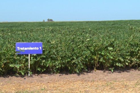 A Campo Abierto 2022 - Un fascinante recorrido por el futuro del agro argentino