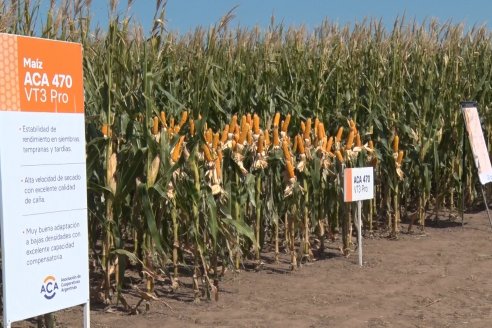 A Campo Abierto 2022 - Un fascinante recorrido por el futuro del agro argentino