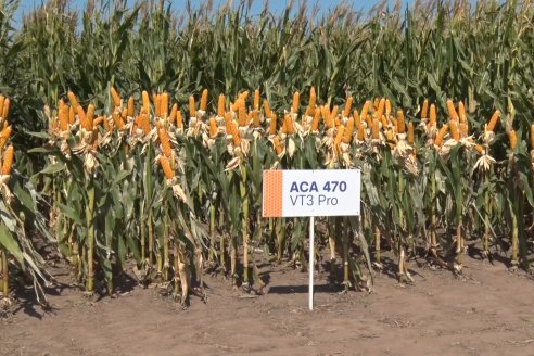 A Campo Abierto 2022 - Un fascinante recorrido por el futuro del agro argentino