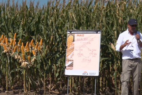 A Campo Abierto 2022 - Un fascinante recorrido por el futuro del agro argentino