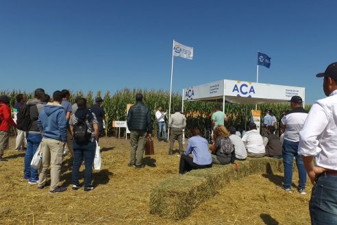 A Campo Abierto 2022 - Un fascinante recorrido por el futuro del agro argentino