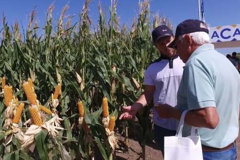 A Campo Abierto 2022 - Un fascinante recorrido por el futuro del agro argentino