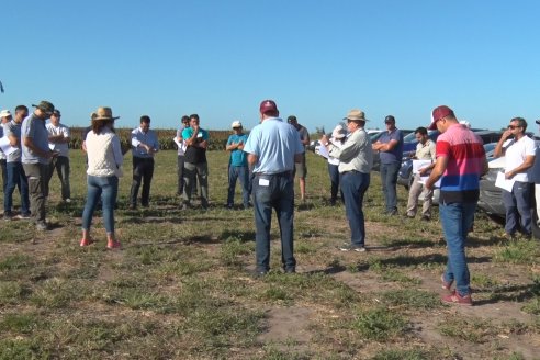 1 Estacion del GIRO DI SORGO de Maizar en la EEA INTA Paraná