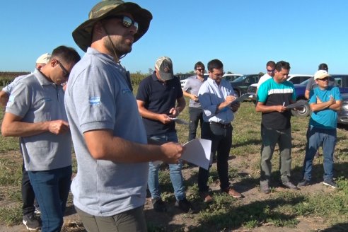 1 Estacion del GIRO DI SORGO de Maizar en la EEA INTA Paraná