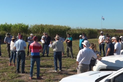 1 Estacion del GIRO DI SORGO de Maizar en la EEA INTA Paraná